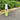 Shoo Away Insect Repellent